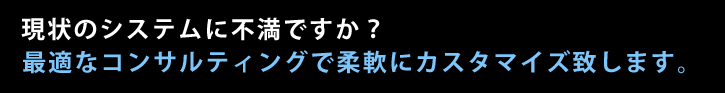 現状のシステムに不満ですか？最適なコンサルティングで柔軟にカスタマイズ致します。