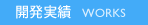 開発実績