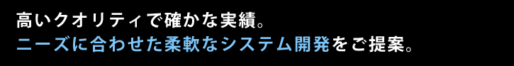 高いクオリティで確かな実績。ニーズに合わせた柔軟なシステム開発をご提案。